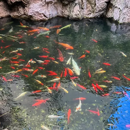 Garden - Herastrau Park 3min Walk *