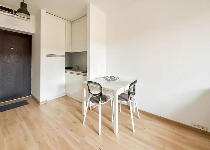 Garden - Herastrau Park 3min Walk * Бухарест