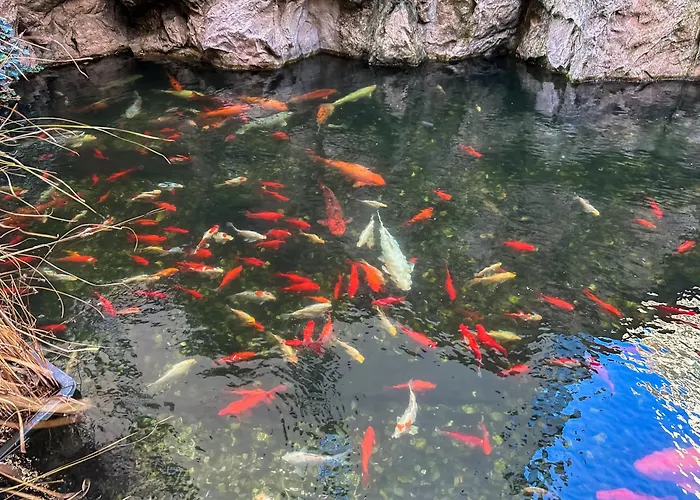 Garden - Herastrau Park 3min Walk *